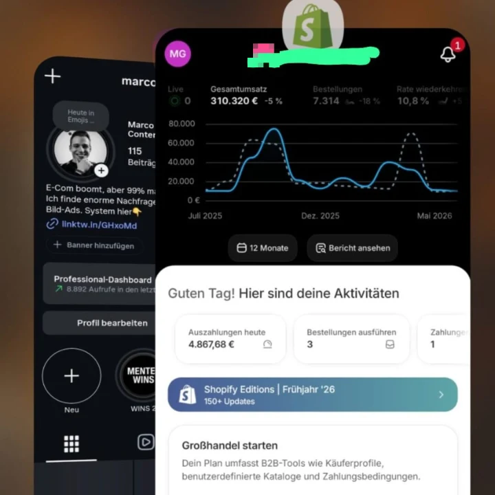 Shopify-Dashboard meines eigenen Shops: 310.320 € Gesamtumsatz und 7.314 Bestellungen in 12 Monaten